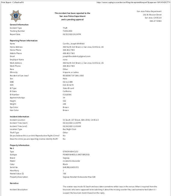 Police Report PDF